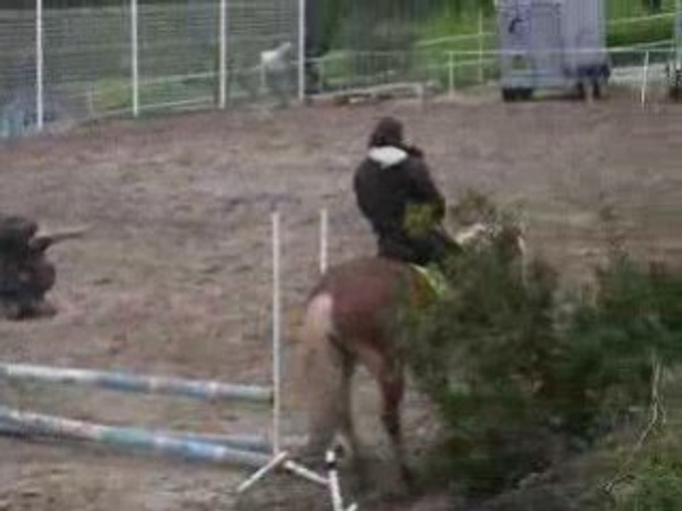 Mo' galop!!!!