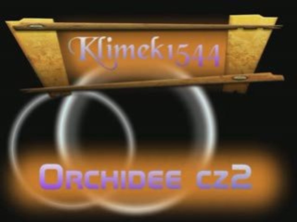 Orchidee dla wsztstkich