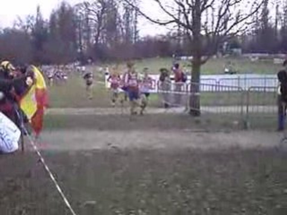 championnat d'europe de cross bruxelles