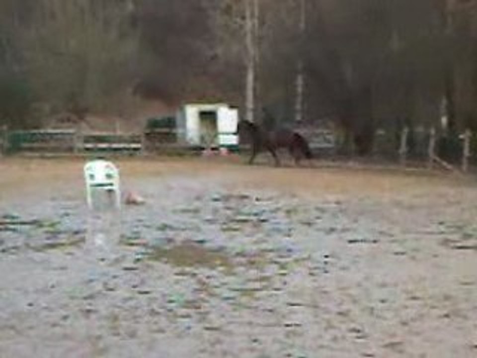 Rumba et moi au trot-galop