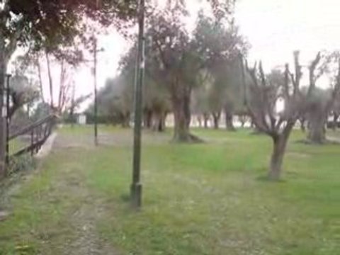 Parc Des arènes de Cimiez à Nice