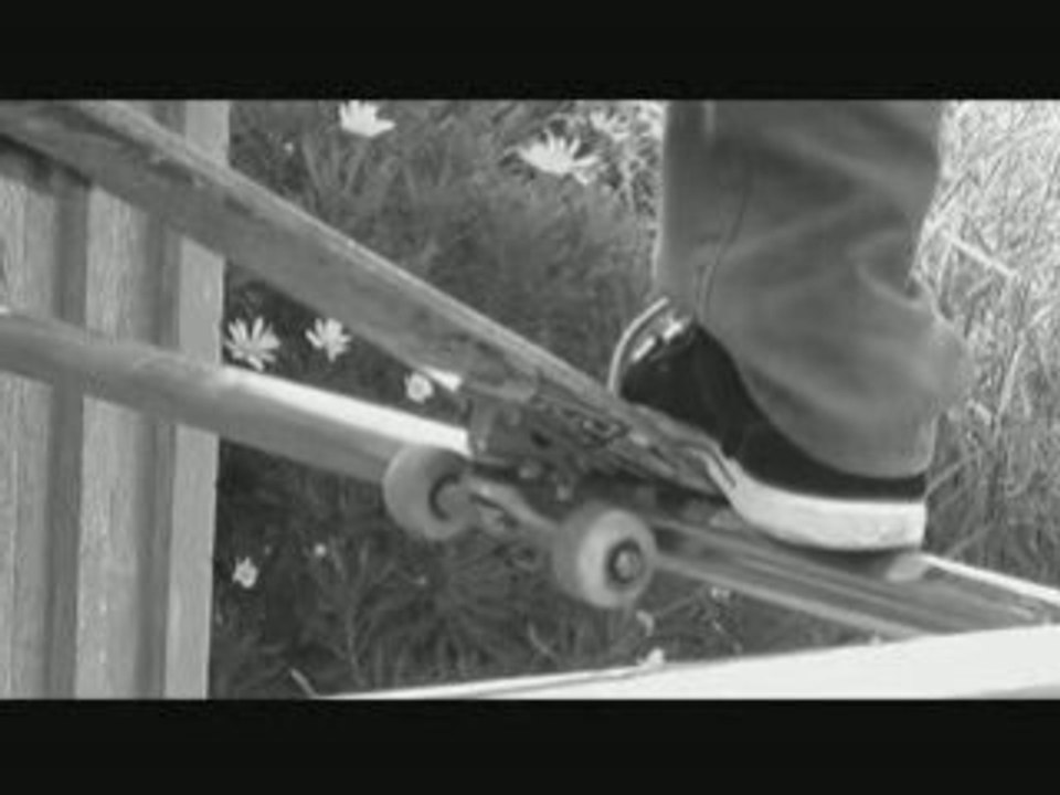 Trailer cat-skateboard