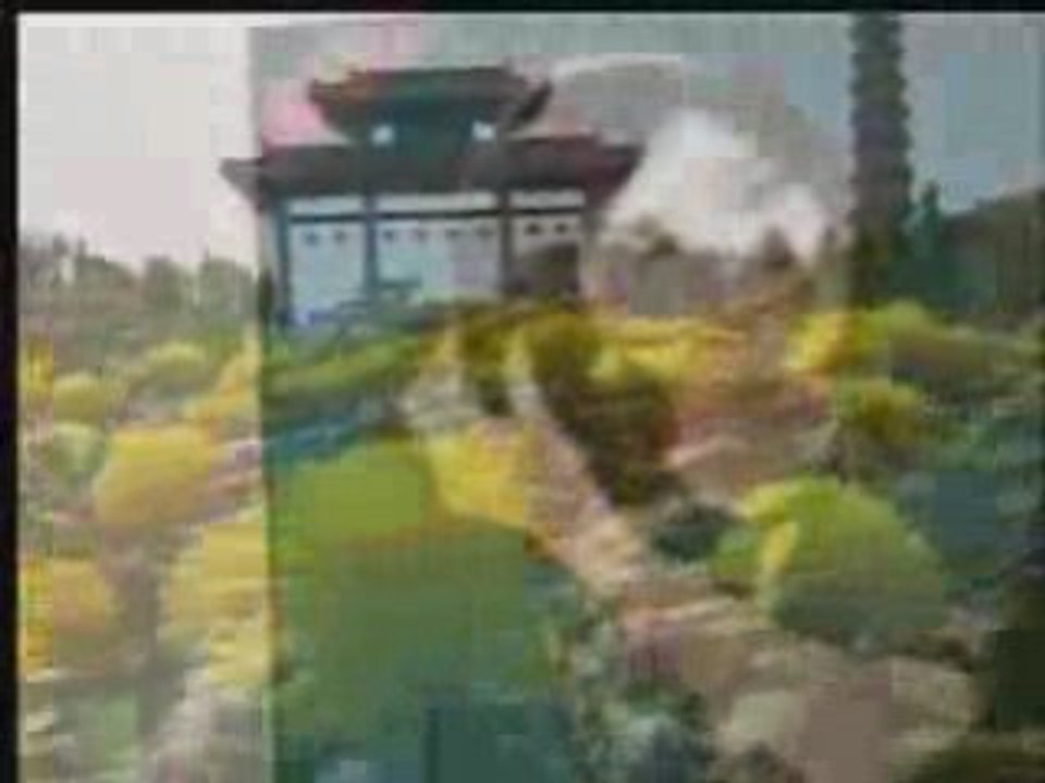 一颗流星_鄧麗君_1