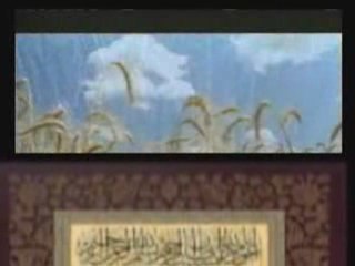 Şeri'ah - Calea spre Allah