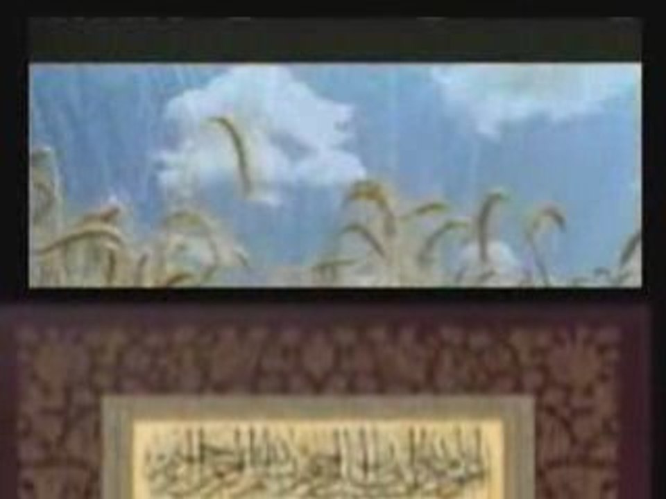 Şeri'ah - Calea spre Allah