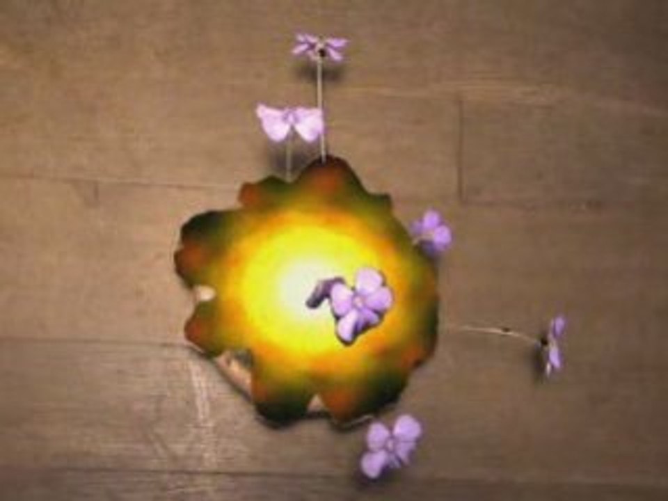 Trippy plant