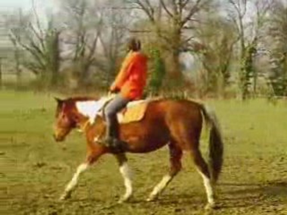 séance de plat puis liberté