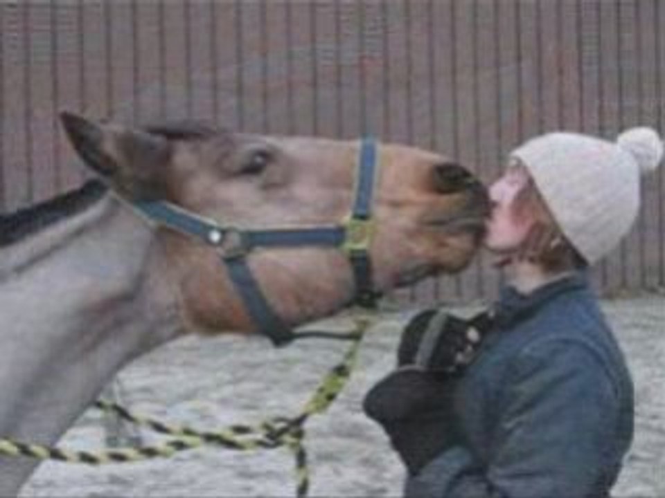 SansTitre