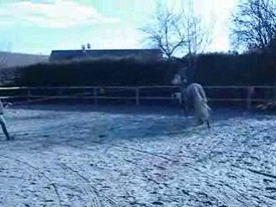 MOV04158