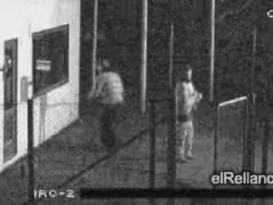 Idiots5