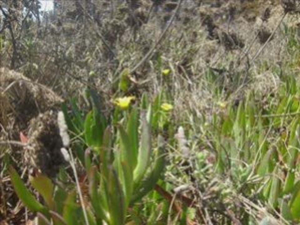 Periple portugais 4 eme Partie