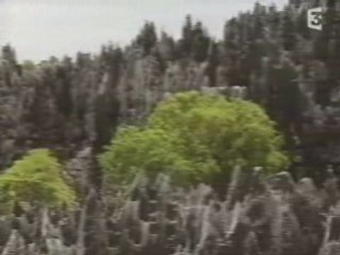 Madagascar, les mystères de l'île rouge (2006)6/6