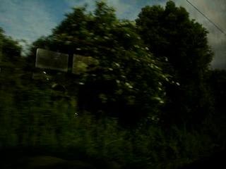 A long way home