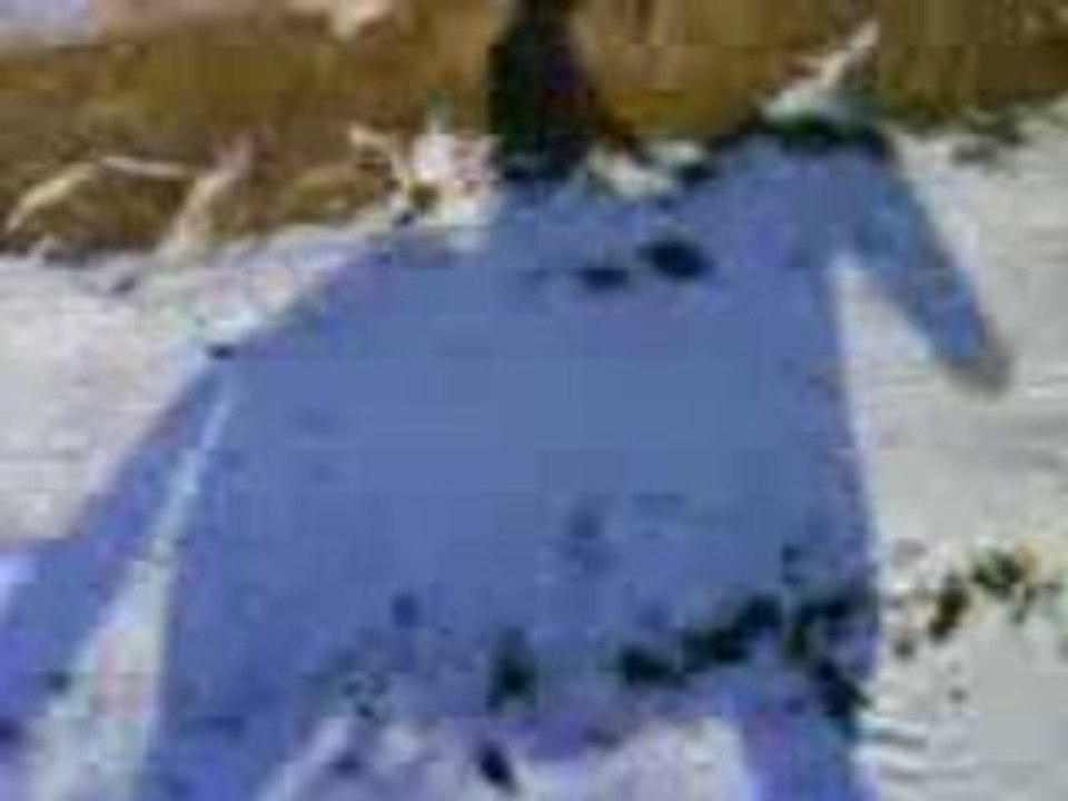 MOV01821