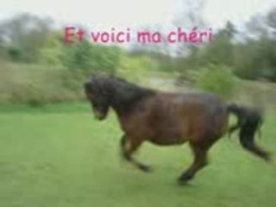 Maya dans trous ces etats