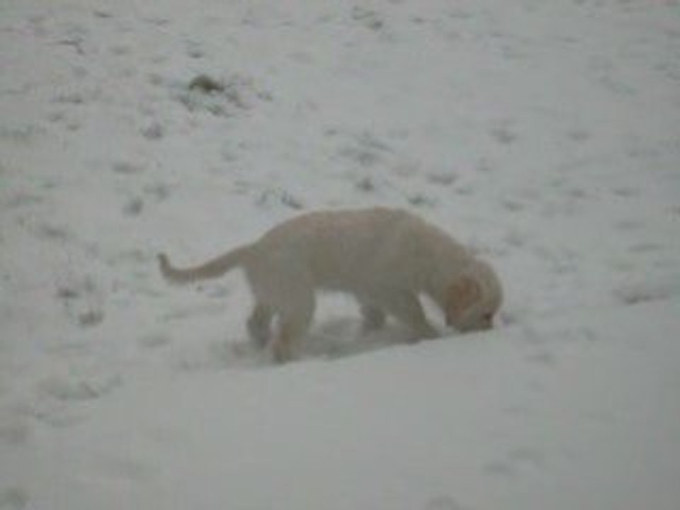 premier pas dans la neige