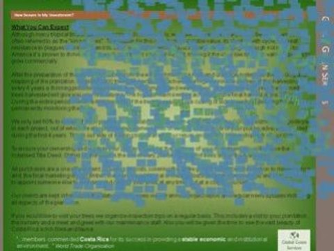 Global Green Services Forestry Investments