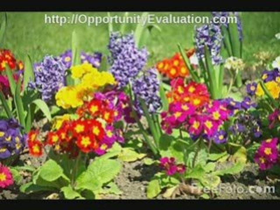 low-cost network marketing opportunities