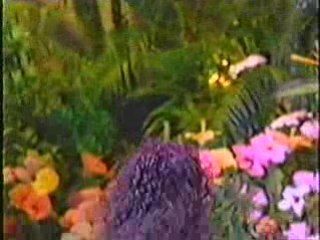 Caribbean Song Festival (CBU) 1996 - Cuba