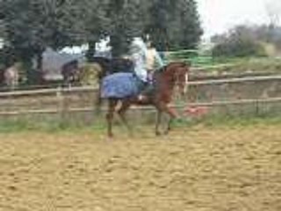 Opti&moi transitions