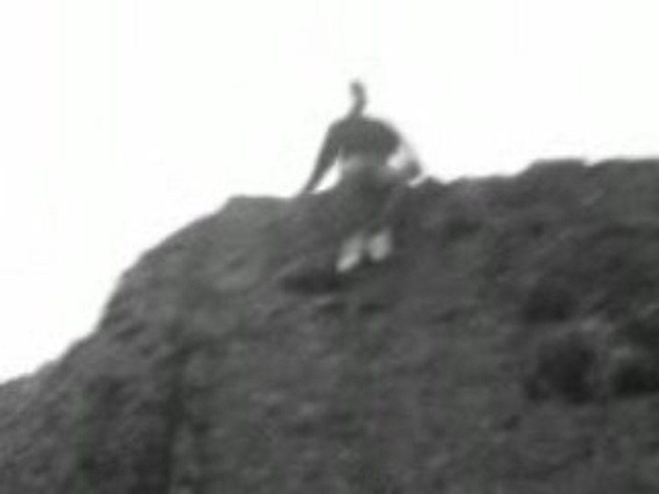 MOV00019