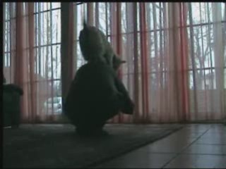 Réglisse 2 nouveaux tours