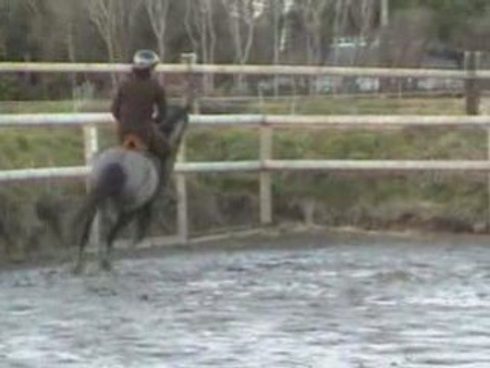 Paloma travail sur le plat2