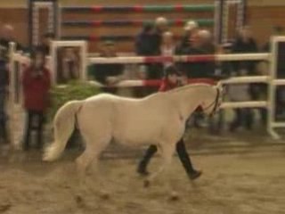 Fusain du Defey Rosieres 2009