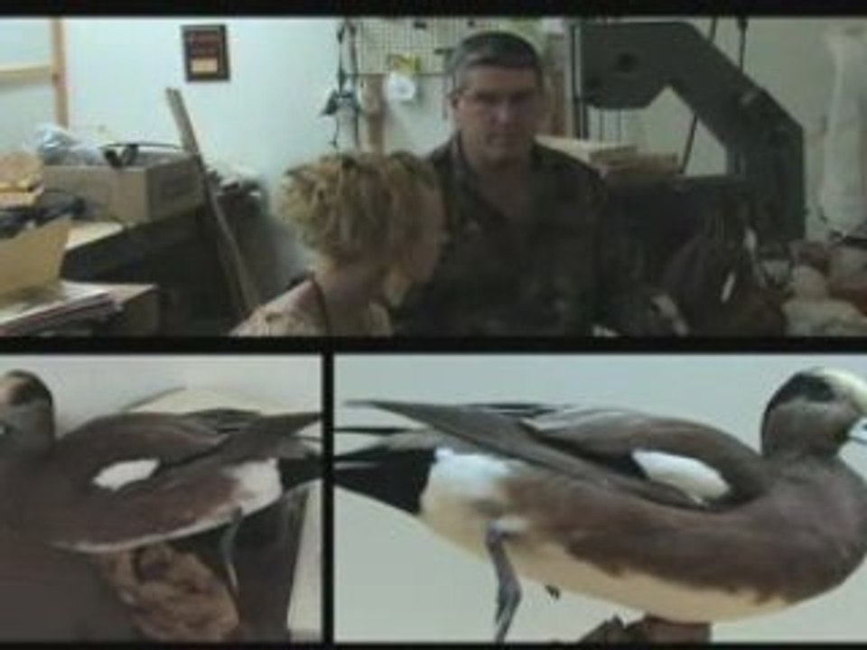Exploring Duck Decoys
