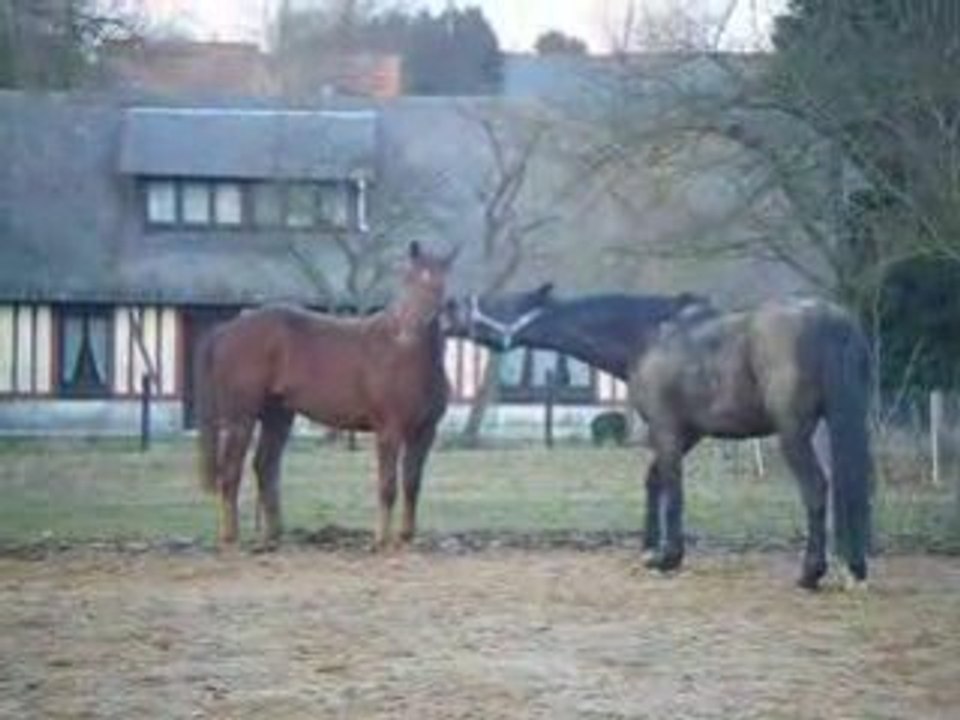 rotary et la branche