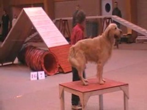 concours d'isbergues Gpf ravel