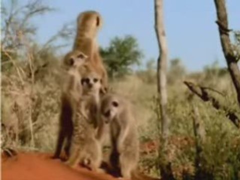 Le lundi matin au boulot modifié