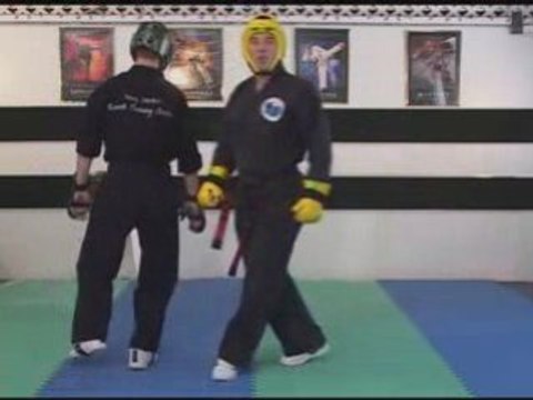 Sport Karate Sparring Hand Positioning Check Distance