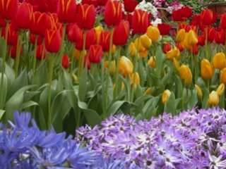 SENİNLE BİR GECE       SUAT SAYIN-SADEGÜL