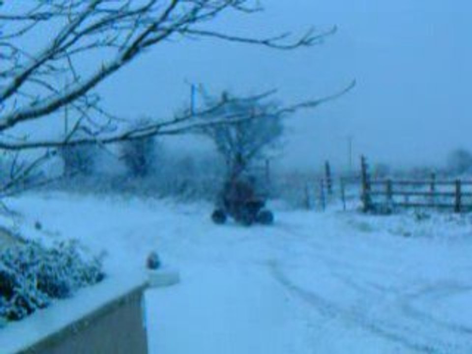 DSCF0393