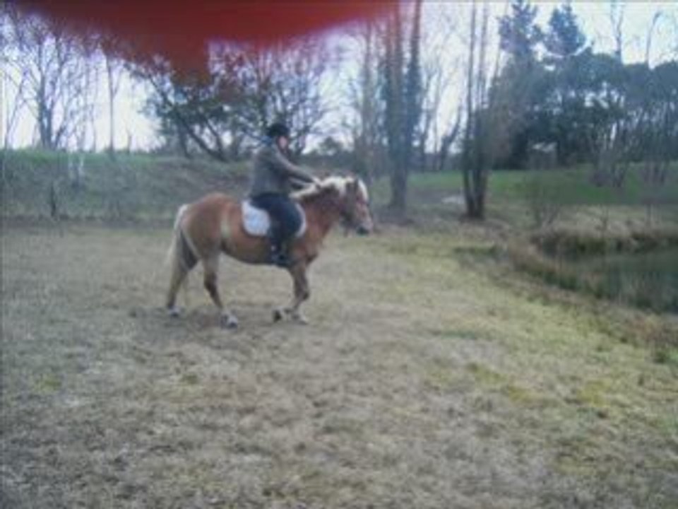 Ballade a la houssay