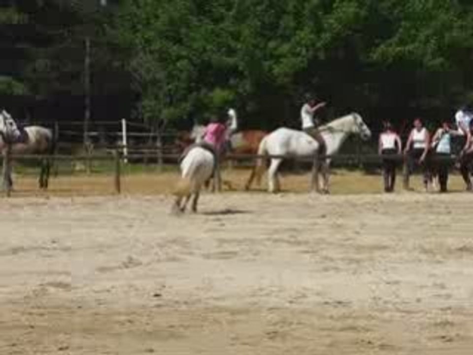 Rodeo 2 c
