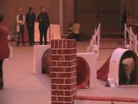 concours d'isbergues Jump berlioz