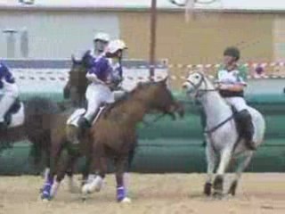 PRO ELITE FEMININE 17 Janvier 2009 à Avignon