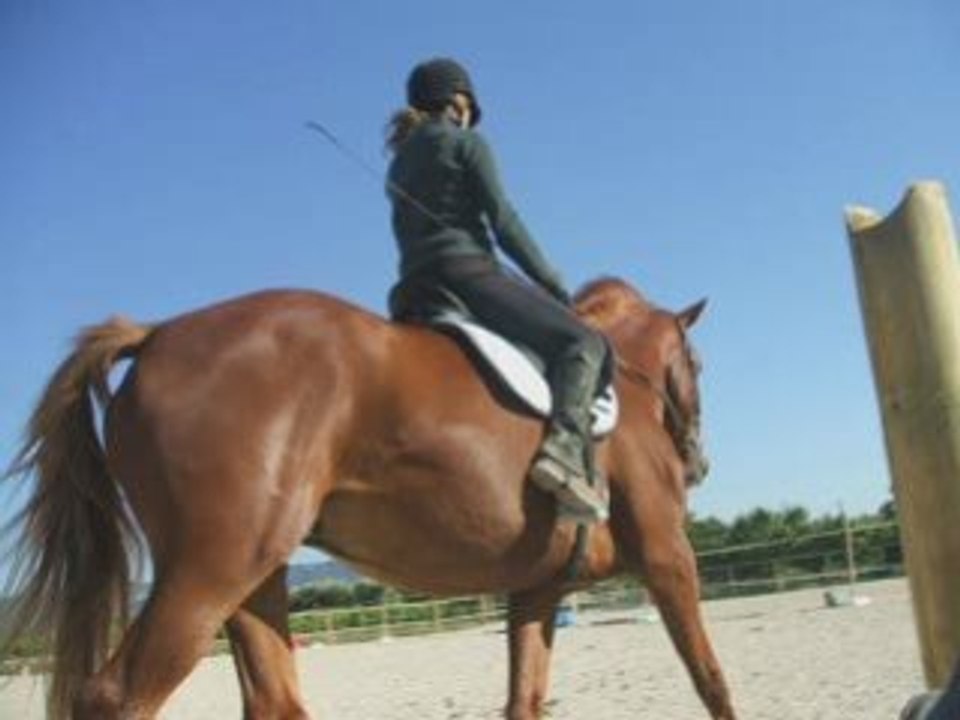 ptit montage de mon loulou