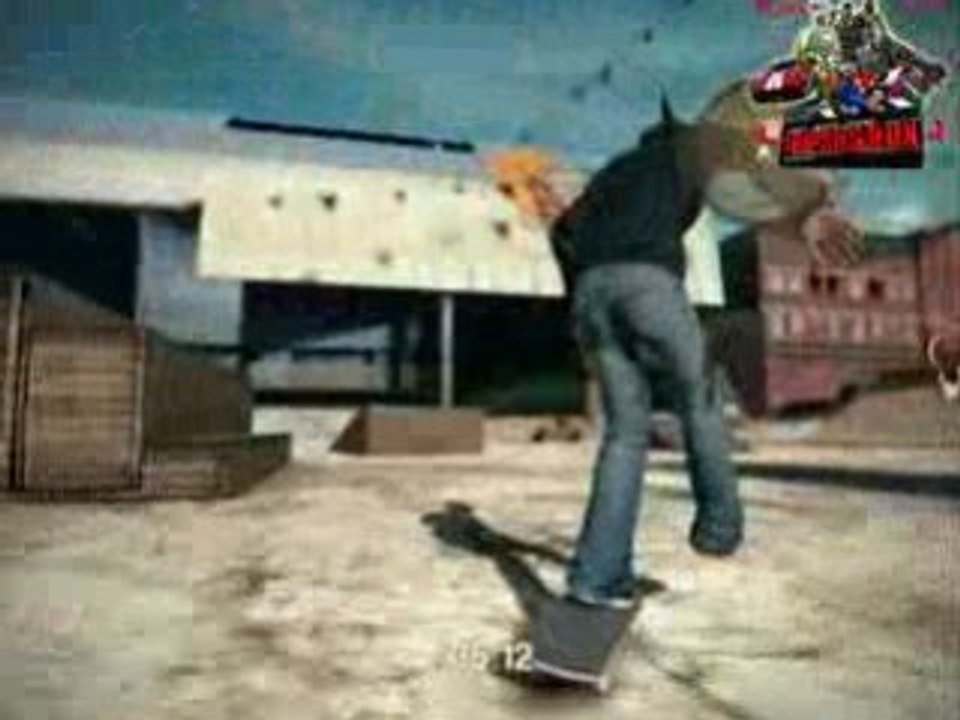 FrapsView Skate 2