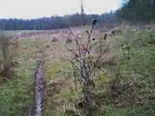 Sortie vtt avec tonton