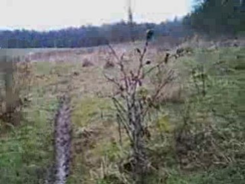 Sortie vtt avec tonton