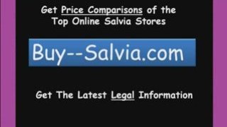 Buy Salvia - 10x, 20x, 60x