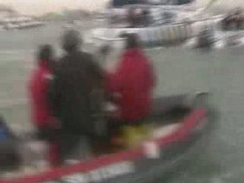 Arrivée de Michel Desjoyeaux - Vendee globe 2008-2009