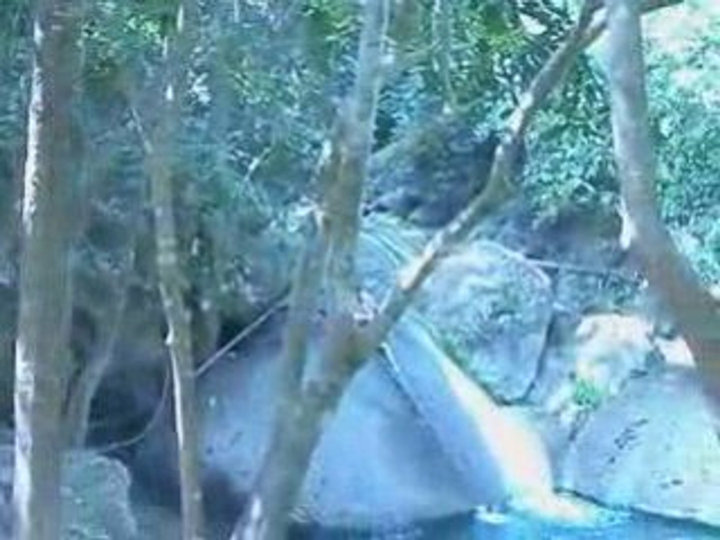 Cascades Thaï
