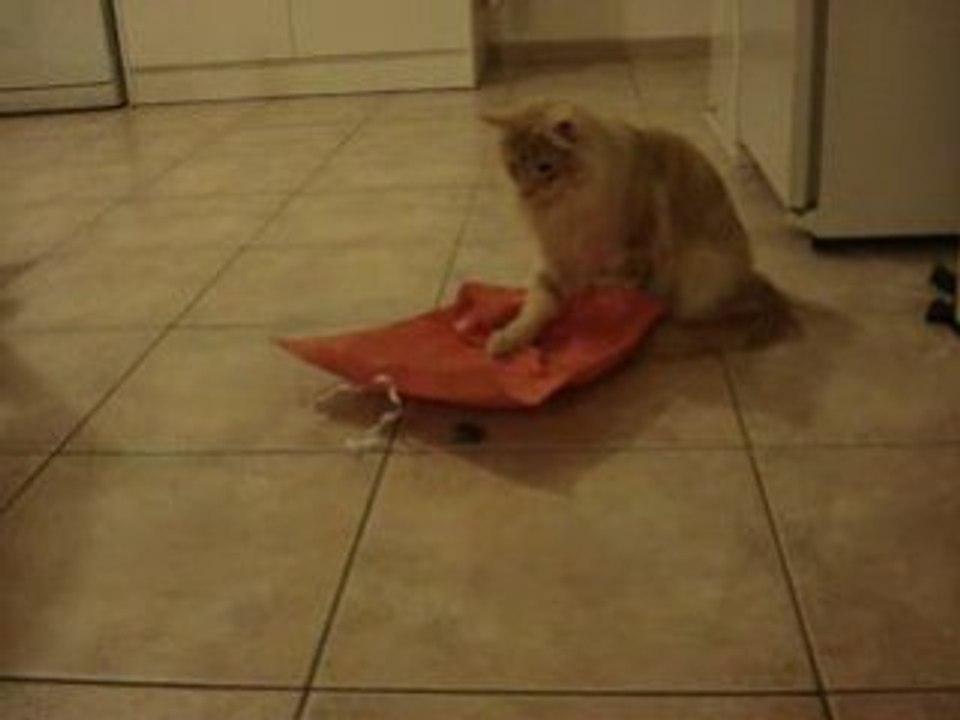 Le plus beau des cadeaux
