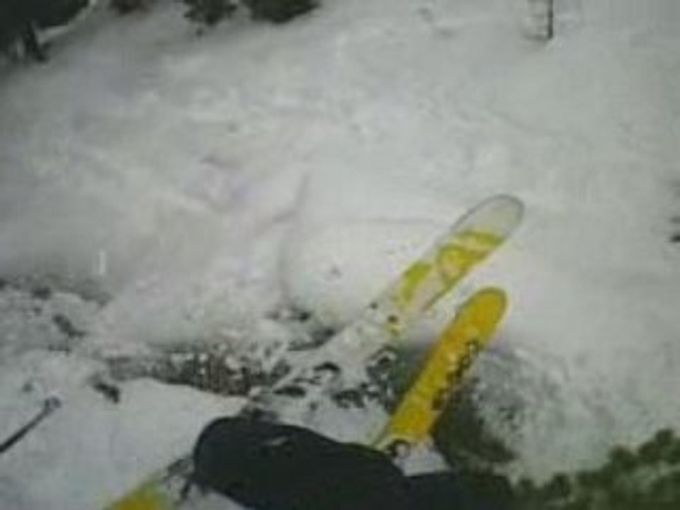 -Freeride- Bimbostar 2