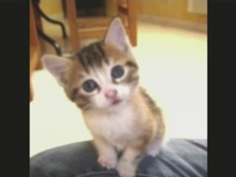 " PATATRA52 " bisous d'amitié *****