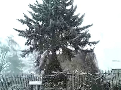 SOUS LA NEIGE JOUARRE FEVRIER 2009